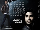 Covert Affairs Calendriers 